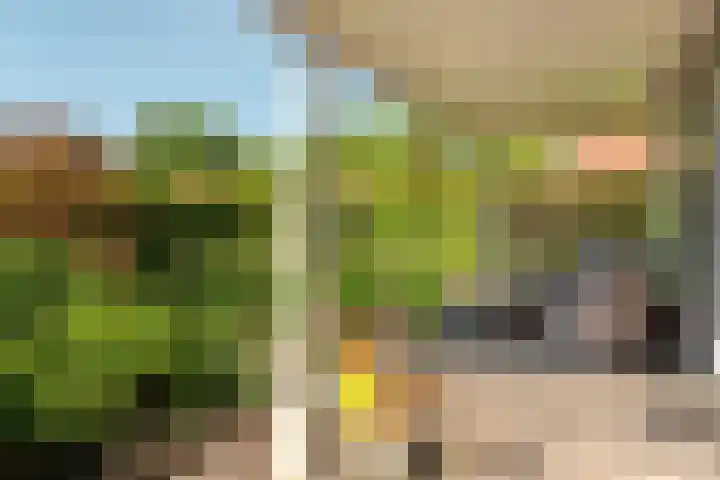 Hogeveensweg 1 A 1 Bontebok thumbnail 18