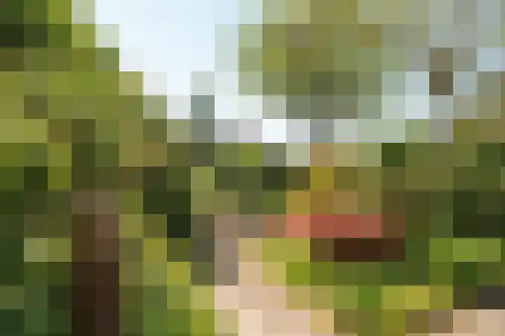 Hogeveensweg 1 A 1 Bontebok thumbnail 21