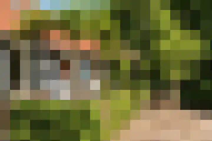Hogeveensweg 1 A 1 Bontebok thumbnail 5