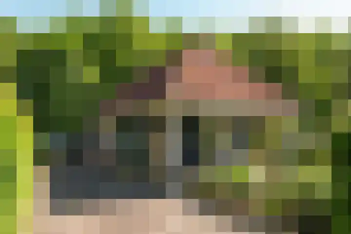 Hogeveensweg 1 A 1 Bontebok thumbnail 8