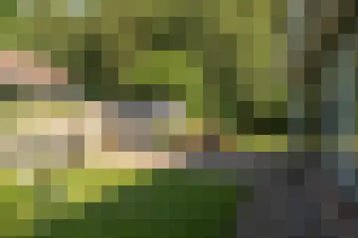 Hogeveensweg 1 A 7 Bontebok thumbnail 10