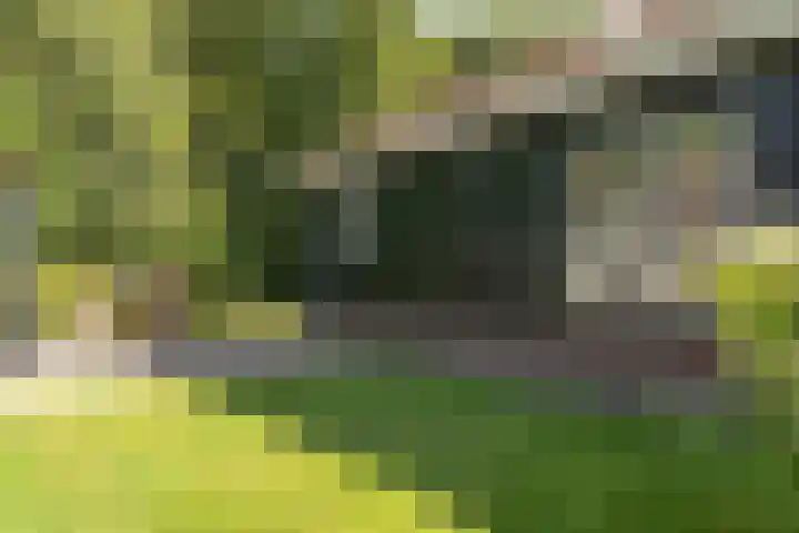 Hogeveensweg 1 A 7 Bontebok thumbnail 11