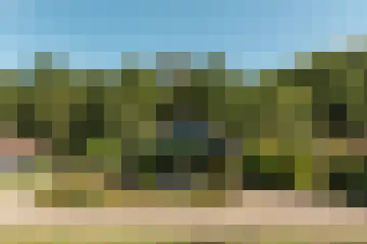 Hogeveensweg 1 A 7 Bontebok thumbnail 13