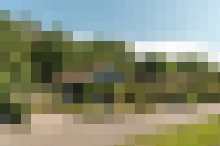 Hogeveensweg 1 A 7 Bontebok thumbnail 14