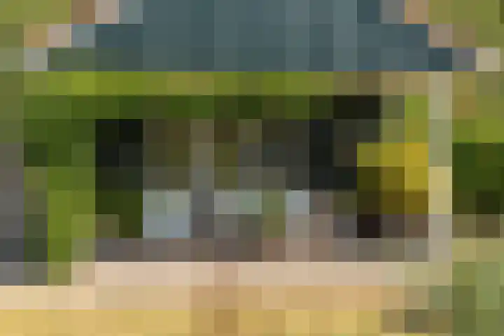 Hogeveensweg 1 A 7 Bontebok thumbnail 15