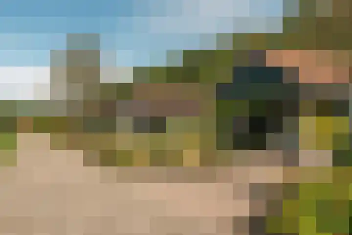 Hogeveensweg 1 A 7 Bontebok thumbnail 16