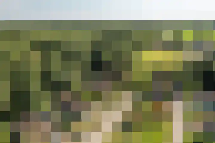 Hogeveensweg 1 A 7 Bontebok thumbnail 18