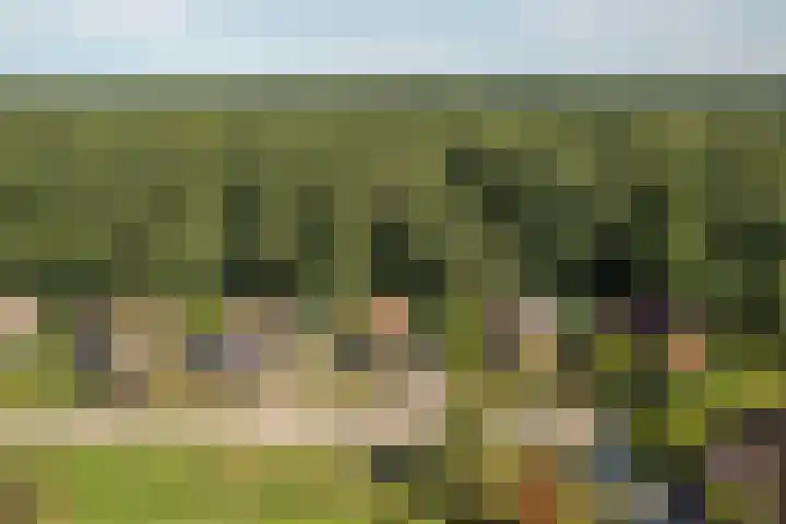 Hogeveensweg 1 A 7 Bontebok thumbnail 19