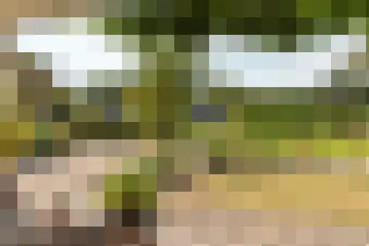 Hogeveensweg 1 A 7 Bontebok thumbnail 20