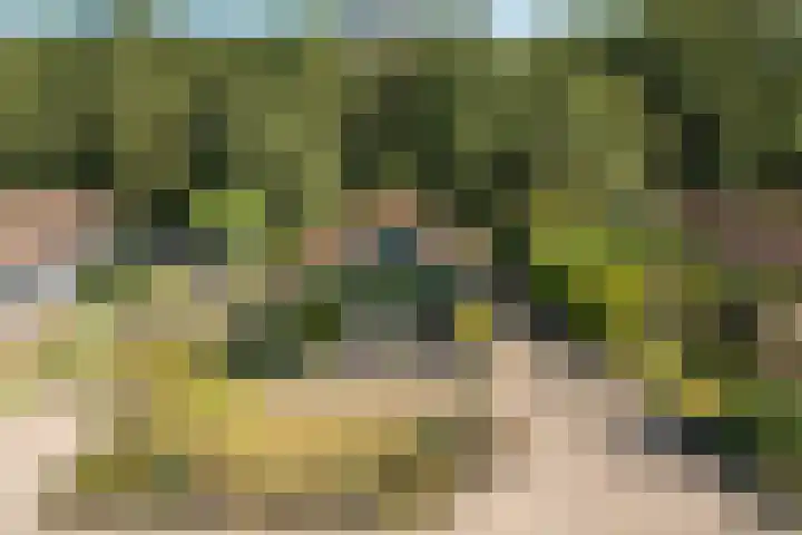 Hogeveensweg 1 A 7 Bontebok thumbnail 22