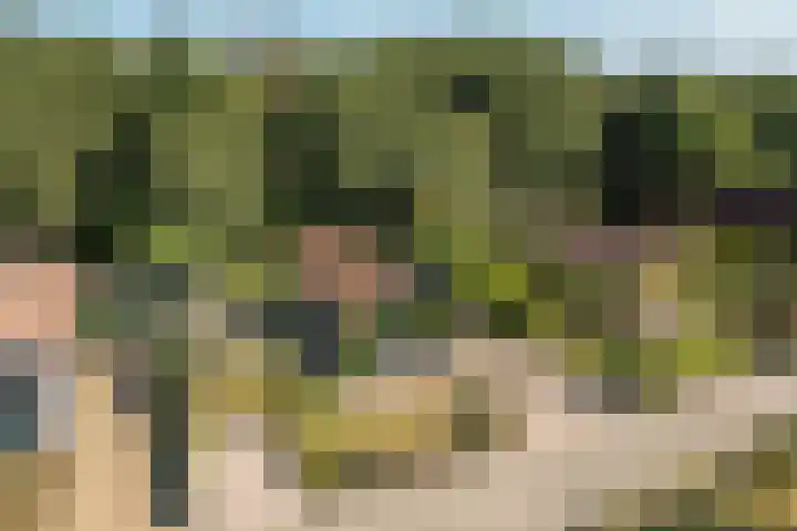Hogeveensweg 1 A 7 Bontebok thumbnail 24