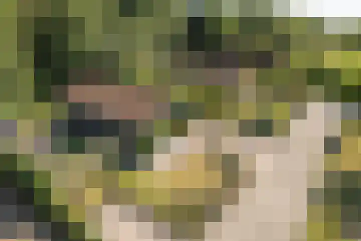 Hogeveensweg 1 A 7 Bontebok thumbnail 26