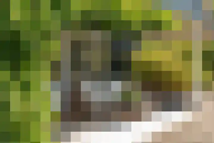 Hogeveensweg 1 A 7 Bontebok thumbnail 27