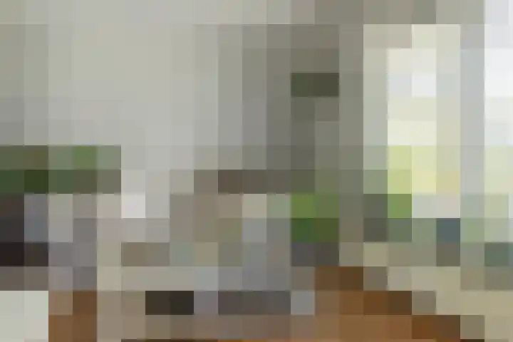 Hogeveensweg 1 A 7 Bontebok thumbnail 30