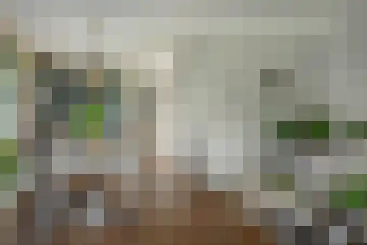 Hogeveensweg 1 A 7 Bontebok thumbnail 31