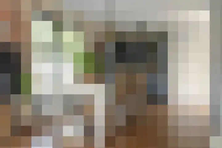 Hogeveensweg 1 A 7 Bontebok thumbnail 32