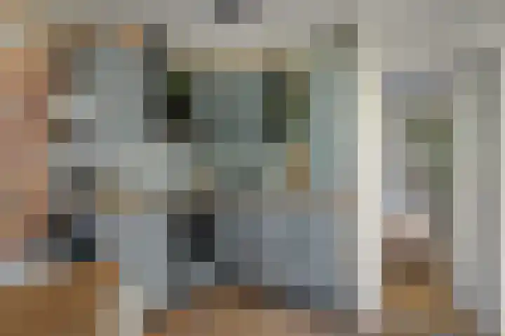 Hogeveensweg 1 A 7 Bontebok thumbnail 34