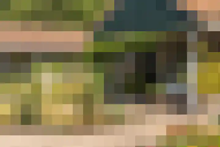 Hogeveensweg 1 A 7 Bontebok thumbnail 4