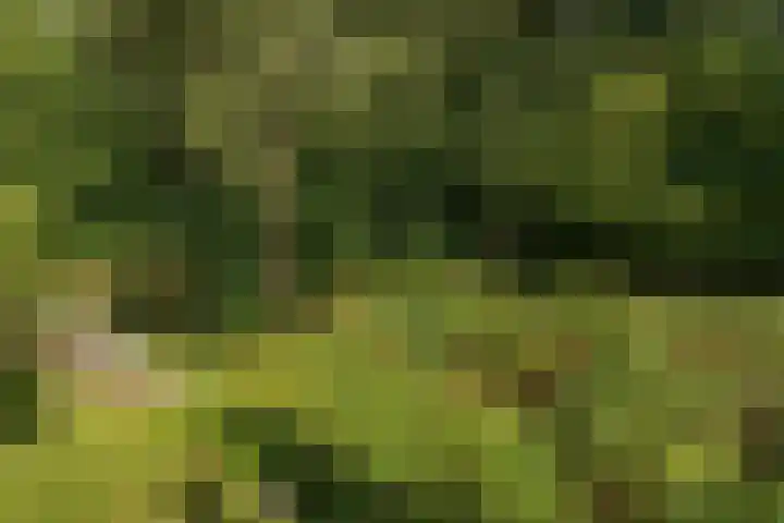Hogeveensweg 1 A 7 Bontebok thumbnail 5
