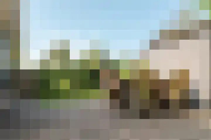 Hogeveensweg 1 A 7 Bontebok thumbnail 7