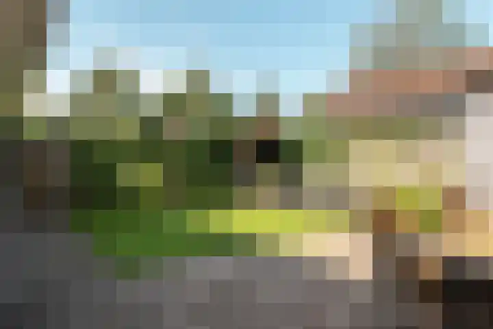 Hogeveensweg 1 A 7 Bontebok thumbnail 9