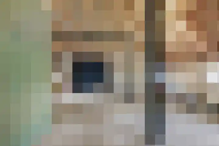 Hogeveld 3 Gendt thumbnail 26