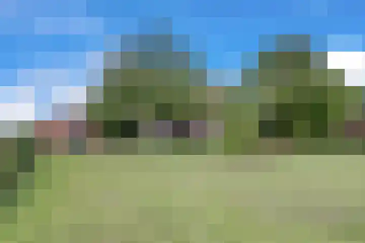 Hogeveld 3 Gendt thumbnail 32