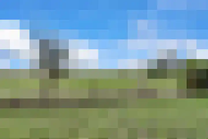 Hogeveld 3 Gendt thumbnail 36