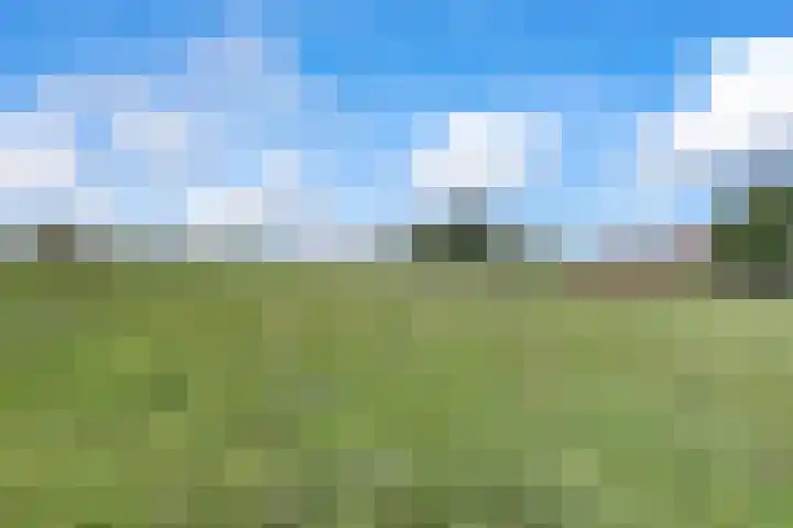 Hogeveld 3 Gendt thumbnail 37