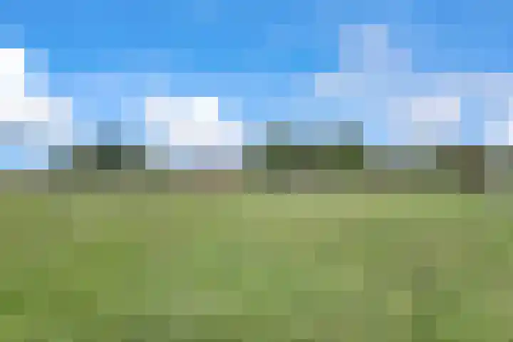 Hogeveld 3 Gendt thumbnail 39