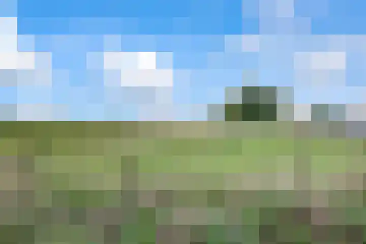 Hogeveld 3 Gendt thumbnail 40
