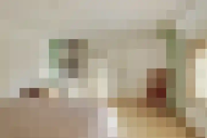 Hogeveld 3 Gendt thumbnail 44