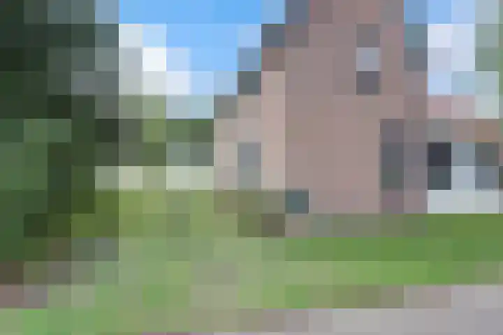 Hogeveld 3 Gendt thumbnail 48