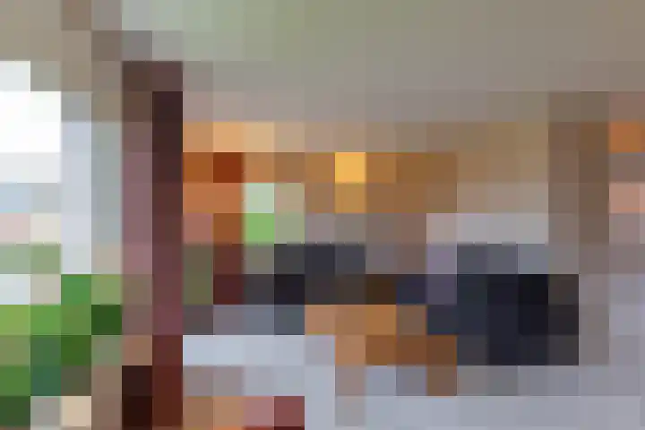 Hogeveld 9 Annen thumbnail 10