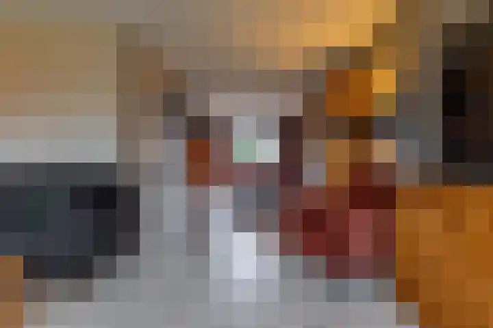 Hogeveld 9 Annen thumbnail 12