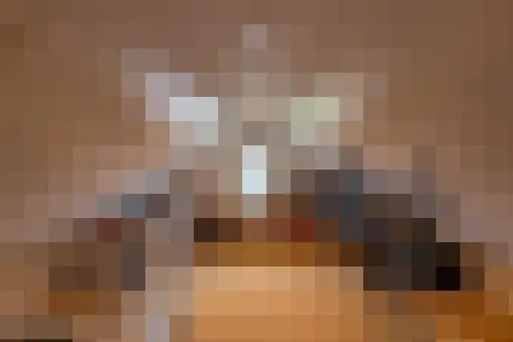 Hogeveld 9 Annen thumbnail 38