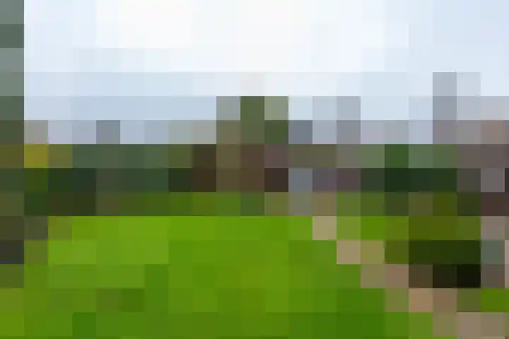 Hogeveld 9 Annen thumbnail 41