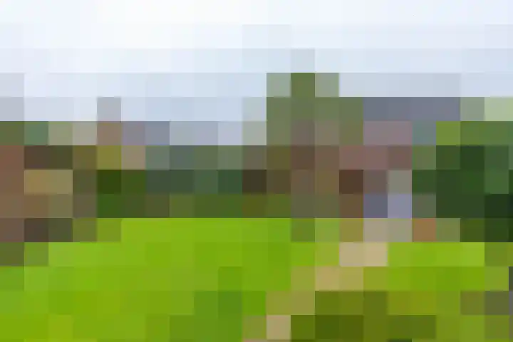 Hogeveld 9 Annen thumbnail 42
