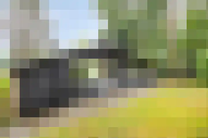 Hogeveldsweg 26 133 Giethmen thumbnail 11