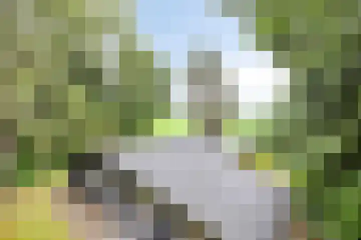 Hogeveldsweg 26 133 Giethmen thumbnail 12
