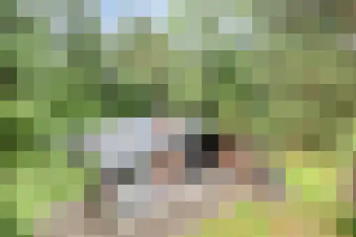 Hogeveldsweg 26 133 Giethmen thumbnail 13