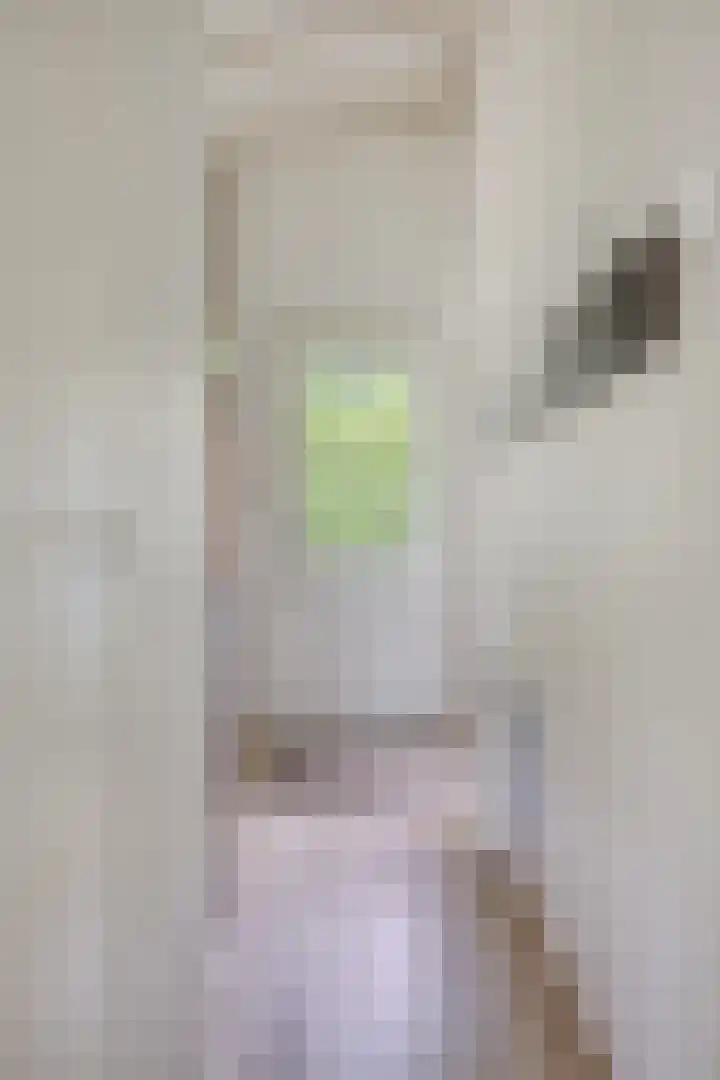 Hogeveldsweg 26 133 Giethmen thumbnail 14
