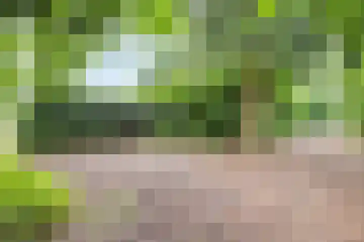 Hogeveldsweg 26 133 Giethmen thumbnail 15