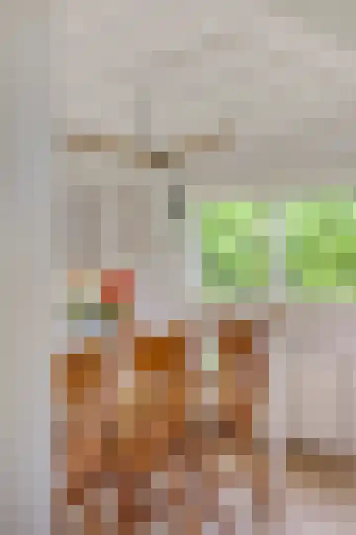 Hogeveldsweg 26 133 Giethmen thumbnail 19