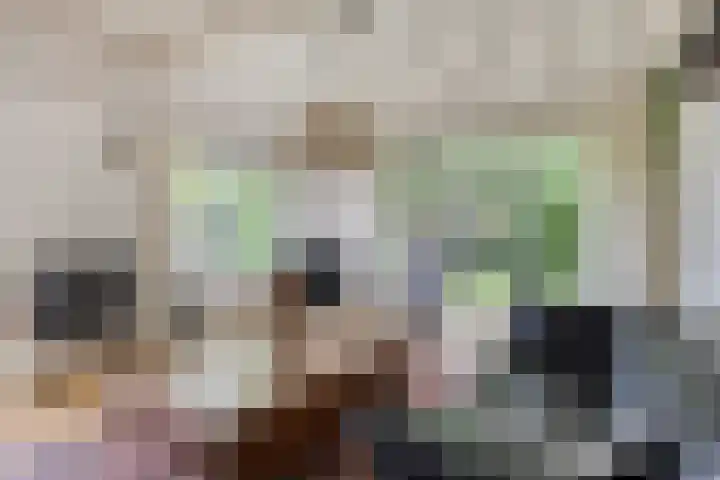Hogeveldsweg 26 133 Giethmen thumbnail 21