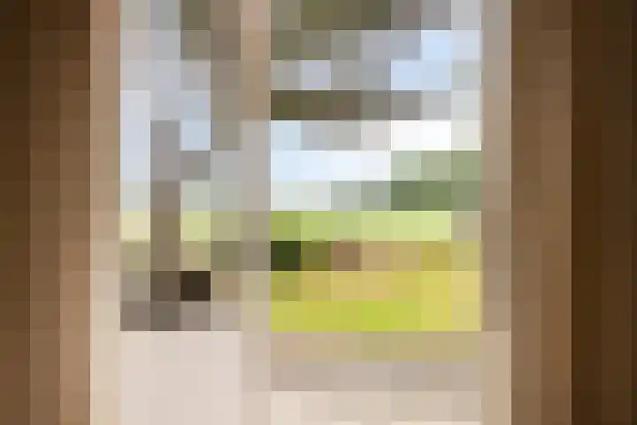 Hogeveldsweg 26 133 Giethmen thumbnail 22
