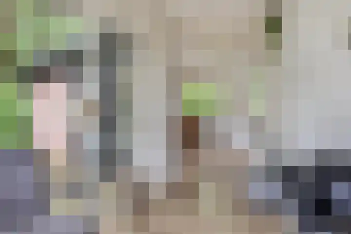 Hogeveldsweg 26 133 Giethmen thumbnail 23