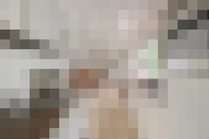 Hogeveldsweg 26 133 Giethmen thumbnail 25