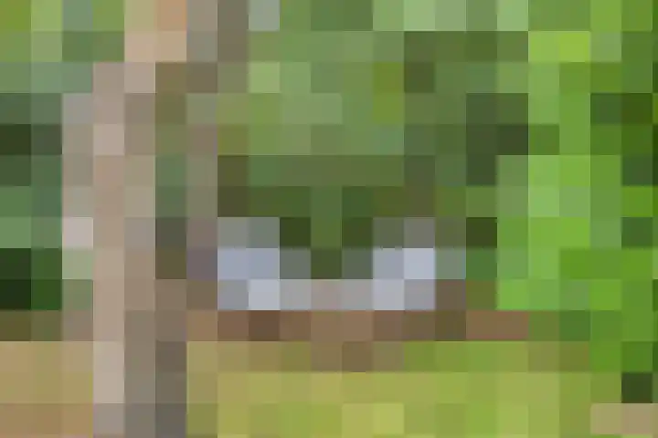 Hogeveldsweg 26 133 Giethmen thumbnail 32