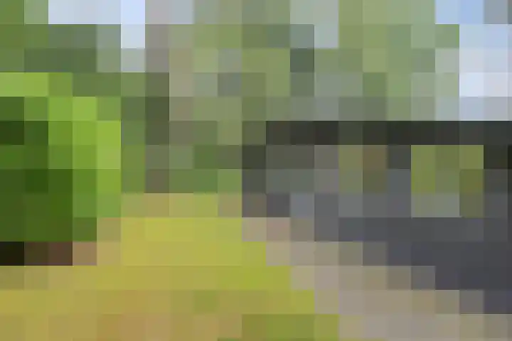 Hogeveldsweg 26 133 Giethmen thumbnail 33